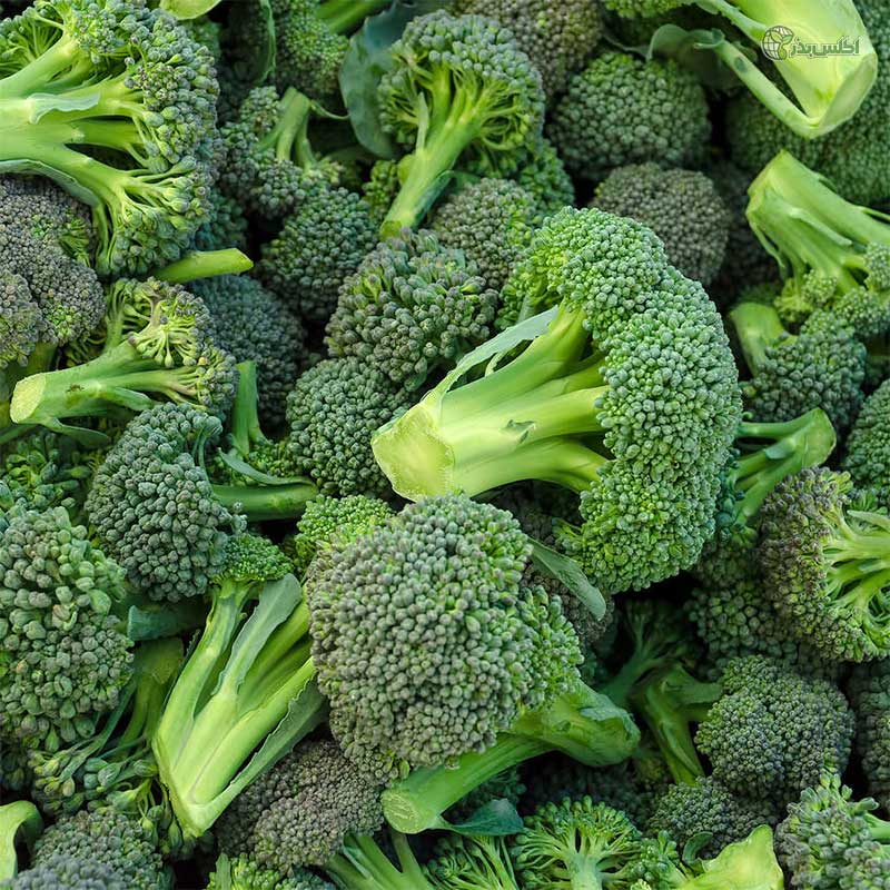 بذر کلم بروکلی